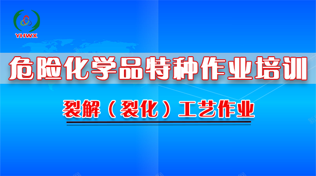 2024裂解（裂化）工艺（复审）